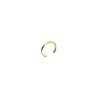 Perrine et Antoinette Bagues D'oreilles^BAGUE D'OREILLE HOANI