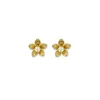 Perrine et Antoinette Boucles D'oreilles Empierrées | Clous D'oreilles^BOUCLES FLORA