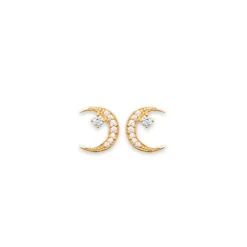 Perrine et Antoinette Boucles D'oreilles Empierrées | Clous D'oreilles^BOUCLES LUNE