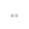 Perrine et Antoinette Boucles D'oreilles Empierrées | Clous D'oreilles^CLOUS AMBER