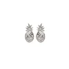 Perrine et Antoinette Clous D'oreilles^CLOUS NEA